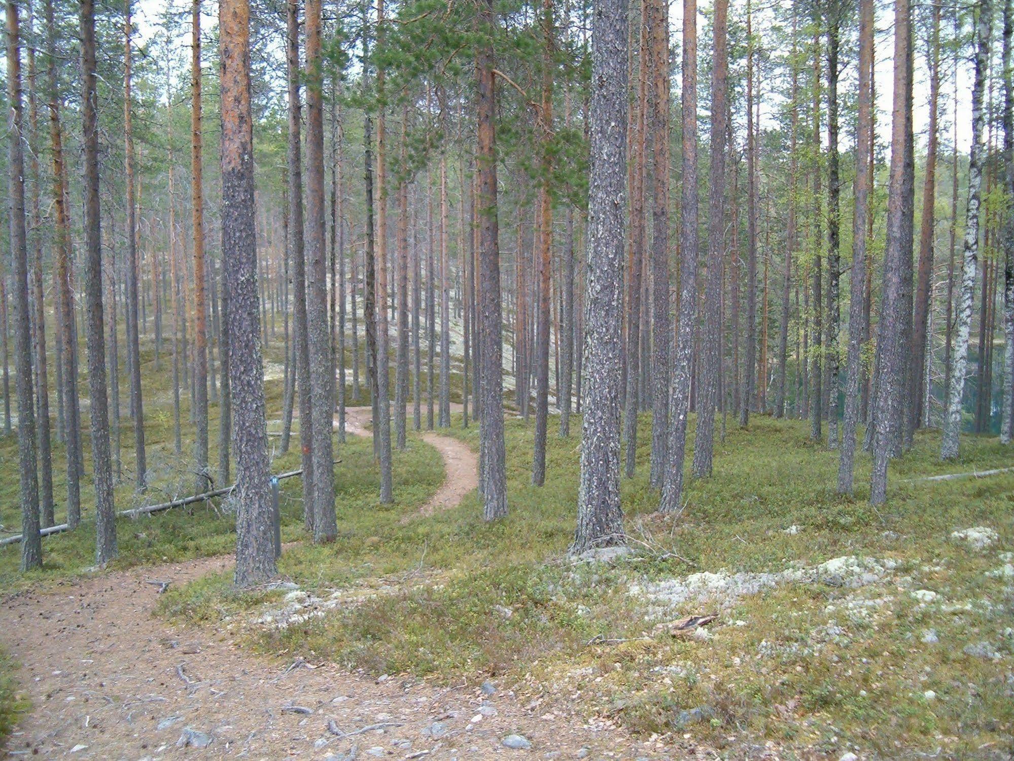 Manamansalo Camping Екстер'єр фото